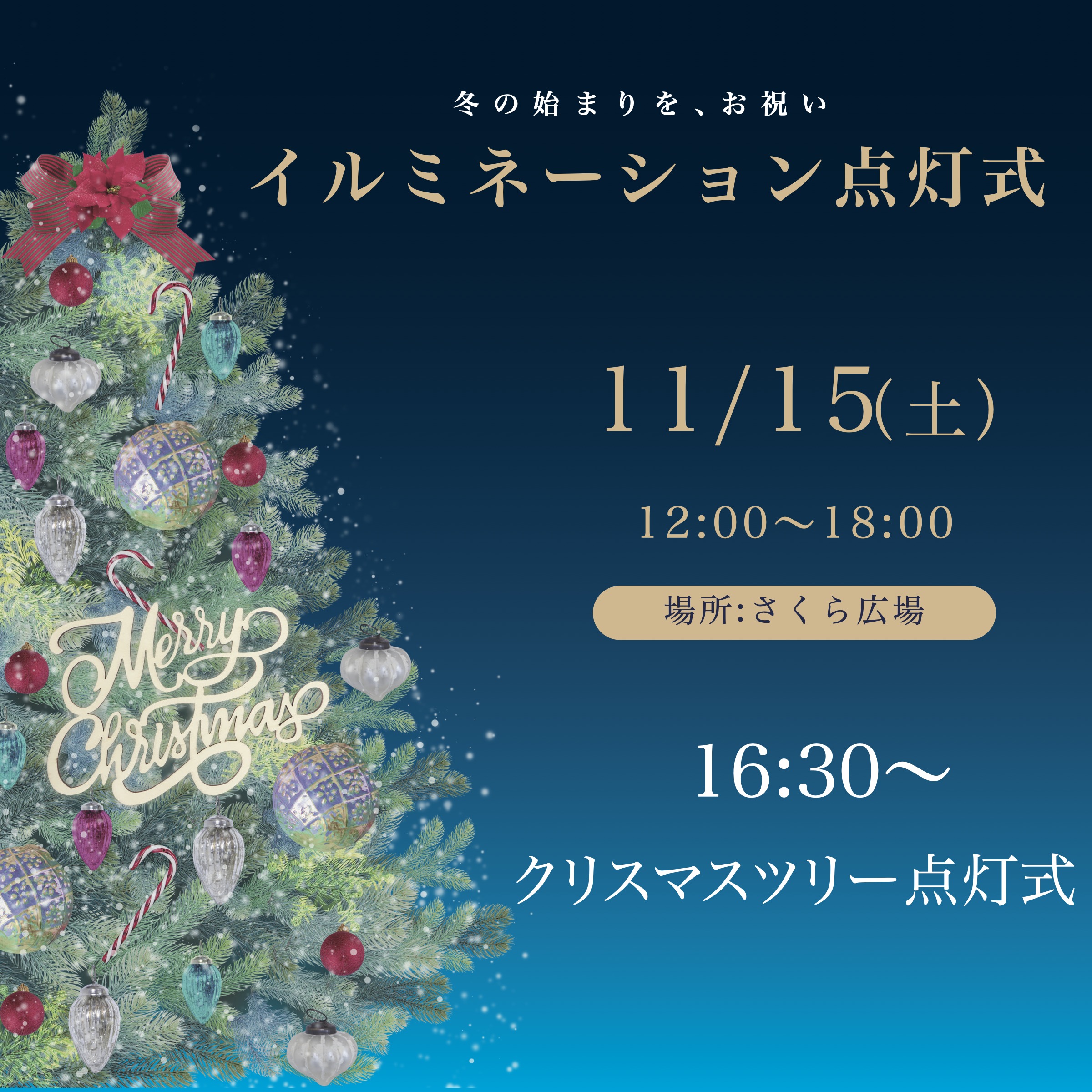 冬の始まりを、お祝い イルミネーション点灯式