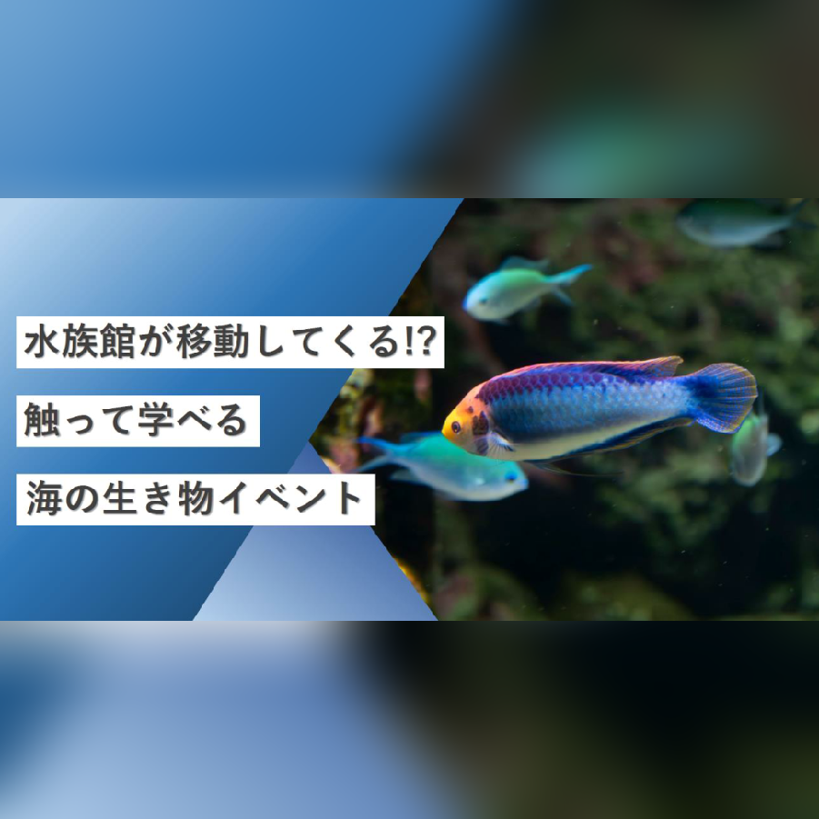 ヤマダデンキに水族館⁉ | vitamall-seiseki